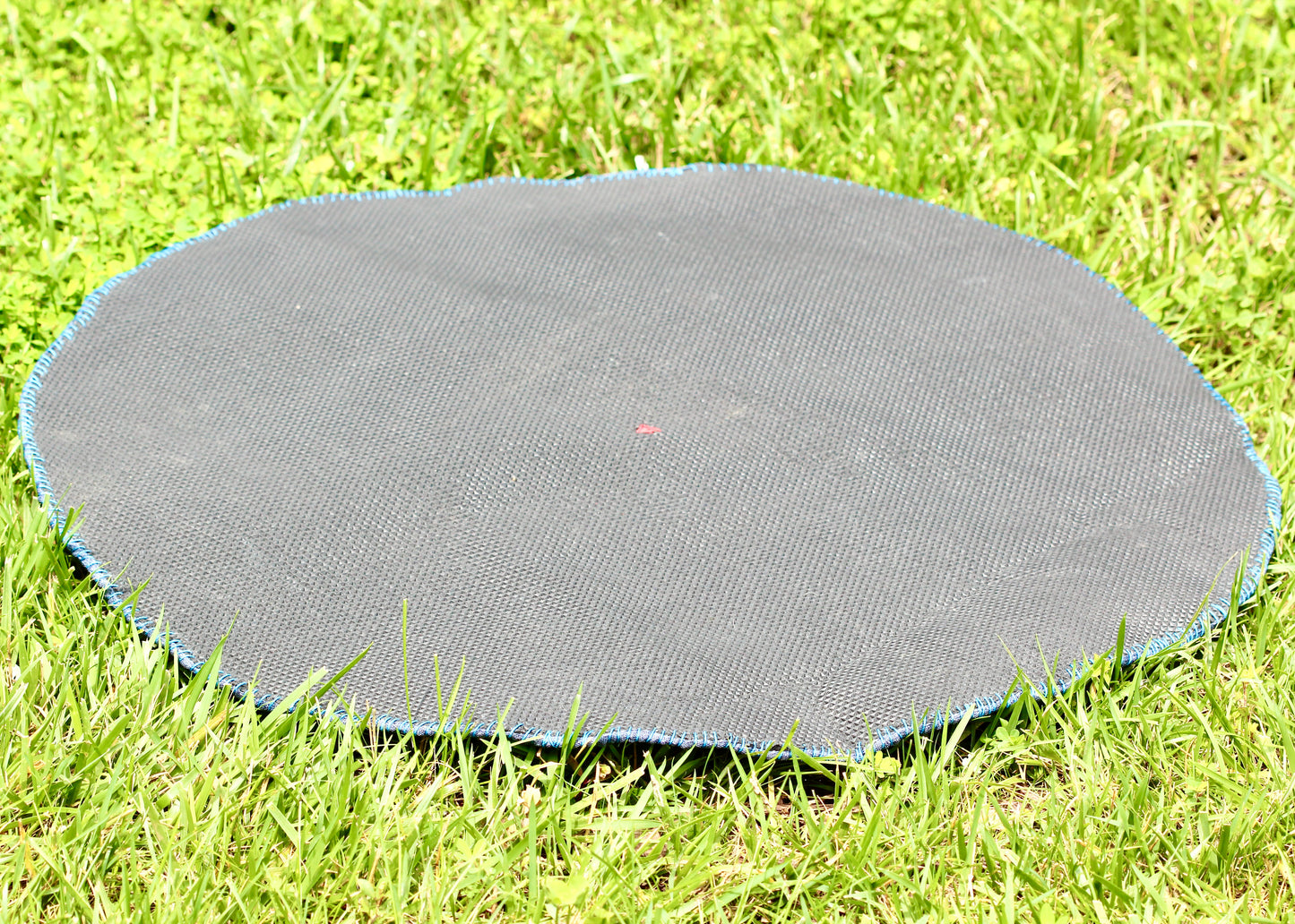 Circle Spot Blue